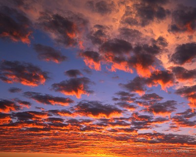 Saturated Skies print